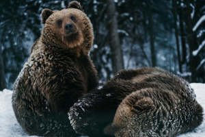 La chronique de Nours